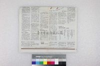 藏品(詹義農-金花石蒜)的圖片