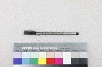 藏品(江凌青-個人畫筆)的圖片