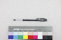 藏品(石德華-個人用筆(黑))的圖片