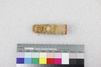 藏品(丁潁個人佛像印章)的圖片