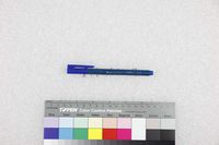 藏品(孟東籬-個人用筆(藍筆))的圖片