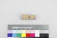 藏品(丁潁-世界論壇報中部總管理處印章)的圖片