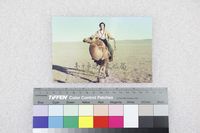 藏品(楊渡於蒙古騎駱駝)的圖片