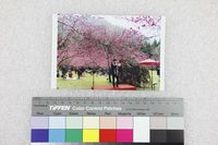 藏品(解昆樺個人照)的圖片