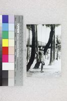 藏品(廖輝英於台大傅園)的圖片