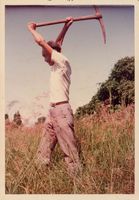 藏品(楊逵個人照)的圖片