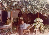 藏品(楊逵-鄧伯藤下)的圖片