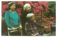 藏品(孟瑤-照片)的圖片