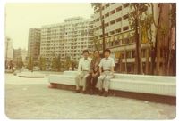 藏品(丁潁文人合影)的圖片