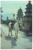 藏品(丁潁個人照)的圖片