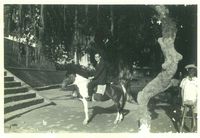 藏品(丁潁個人照)的圖片