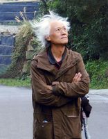 藏品(孟東籬-飛揚的茅草)的圖片