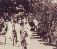 藏品(廖輝英-大一暑假與友人惠芳)的圖片