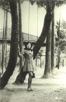 藏品(廖輝英-在臺大傅園)的圖片