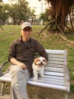 藏品(苦苓 (2))的圖片