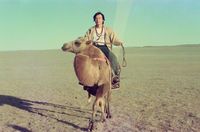 藏品(楊渡-1990年蒙古騎駱駝)的圖片