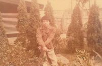 藏品(林沈默-大學與高中紅色讀書會時期 )的圖片