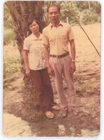 藏品(林沈默-父母照)的圖片