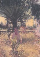 藏品(林沈默-高中八掌溪詩社時期 )的圖片