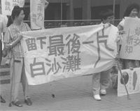 藏品(林沈默-與妻參與反核遊行)的圖片