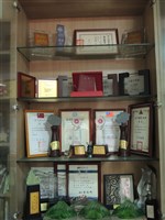 藏品(方秋停-獲獎獎盃(全))的圖片