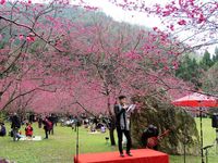 藏品(解昆樺-個人照)的圖片