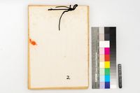 藏品(台灣處分一九四五年(二))的圖片