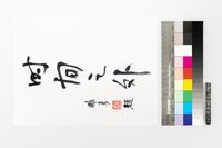 藏品(時間之外)的圖片