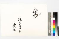 藏品(我)的圖片