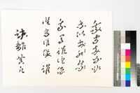 藏品(疏離)的圖片