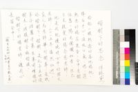 藏品(楷樹下的思念)的圖片