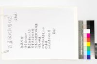 藏品(葫蘆墩的拍殕仔光)的圖片