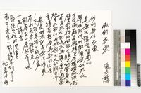 藏品(我的衣裳)的圖片