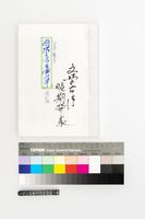 藏品(罔市含羞草)的圖片