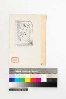 藏品(花的詩集)的圖片