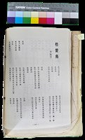 藏品(〈笠通訊〉第三冊-他愛鳥（李敏勇）)的圖片