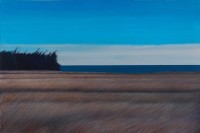 藏品(陳達的鄉愁)的圖片