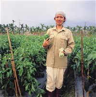 藏品(《越界與認同－亞洲新娘之歌 II》：貴孝 (A))的圖片