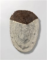 藏品(皺紋)的圖片