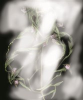 藏品(2010植物誌二，雲煙飄渺)的圖片