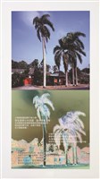 藏品(鄉關何處－－明德新村系列(韓斌02))的圖片