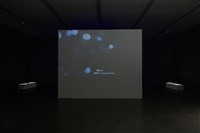 藏品(GALENA告白)的圖片