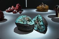 藏品(褶肉記—生機之域，奇異果纖維)的圖片