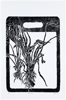 藏品(鴨舌草)的圖片