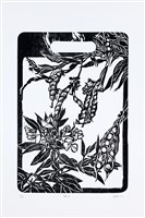 藏品(樹豆)的圖片