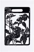 藏品(龍葵)的圖片