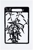 藏品(尖瓣花)的圖片
