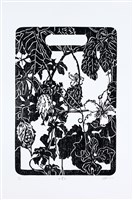 藏品(山苦瓜)的圖片