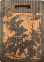 藏品(飯甑波(懸鉤子))的圖片