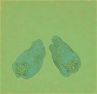 藏品(日常採集-青椒仔)的圖片